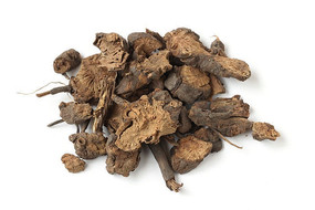 中藥升麻與家用電器的奇妙關聯 傳統與現代的跨界思考