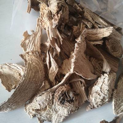 中藥材商陸 價格、正宗辨識與市場分析