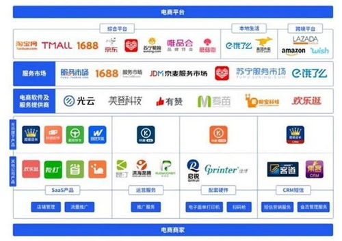 科創(chuàng)板迎來第100家上市公司，電子商務(wù)平臺服務(wù)企業(yè)開盤大漲177.5%