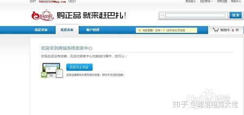 在家掘金 零基礎(chǔ)小買賣指南與電商入門解惑